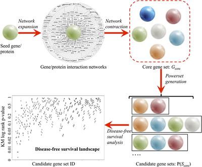 Combinatorial Ranking of Gene Sets to Predict Disease Relapse: The Retinoic Acid Pathway in Early Prostate Cancer